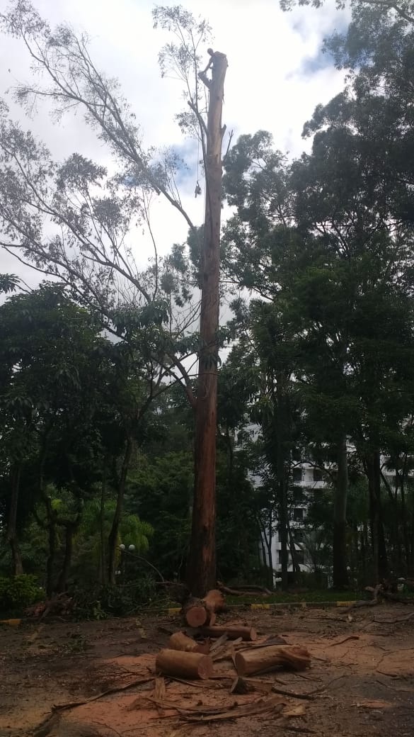 WhatsApp Image 2019-05-26 at 01.07.23 (1).jpeg