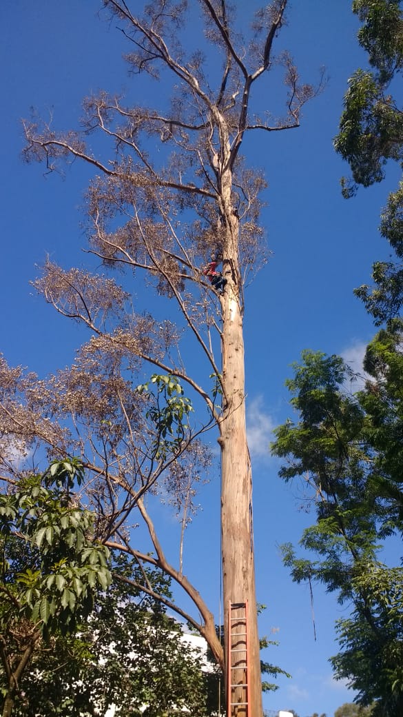 WhatsApp Image 2019-05-26 at 01.07.23.jpeg