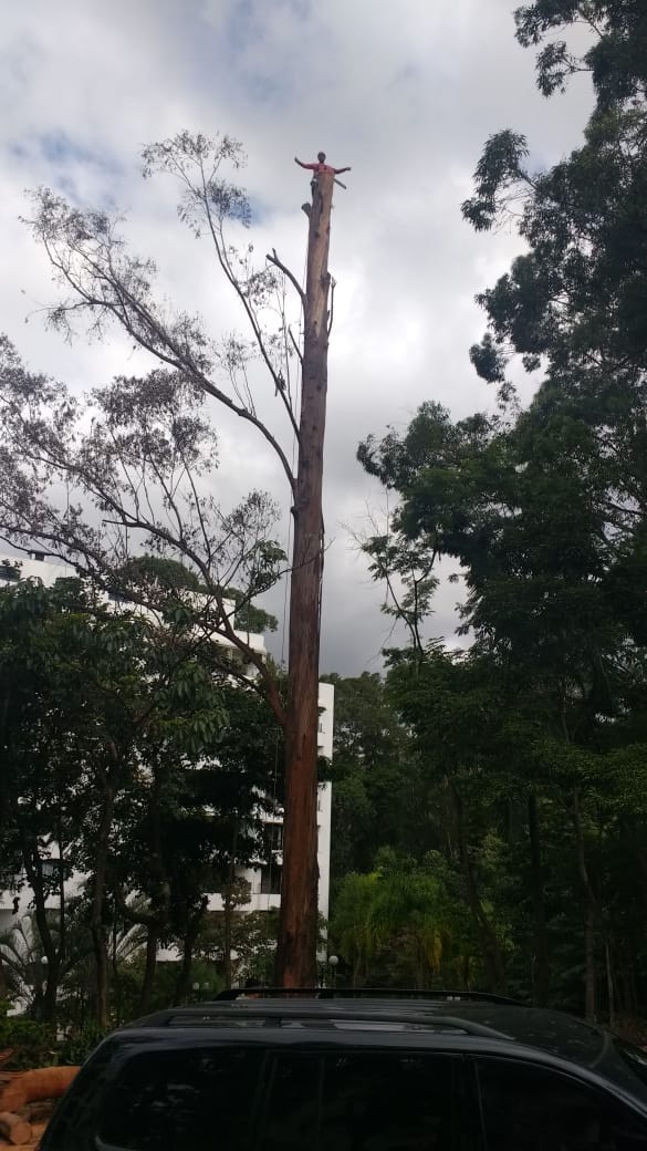 WhatsApp Image 2019-05-26 at 01.07.08.jpeg