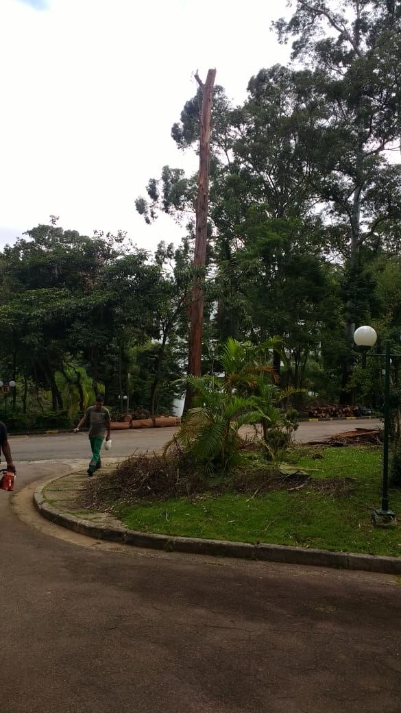 WhatsApp Image 2019-05-26 at 01.07.36.jpeg