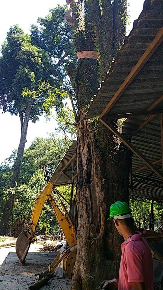 28278947_583588848668037_6092291192441368643_n - Copia.jpg